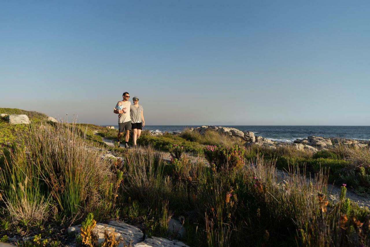 Nothing But View Διαμέρισμα Hermanus Εξωτερικό φωτογραφία